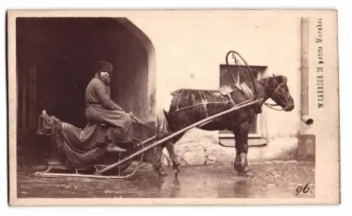 Fotografie W. Carrick, St. Petersburg, Malaja Morskaja 19, russischer Pferdeschlitten mit Fahrer