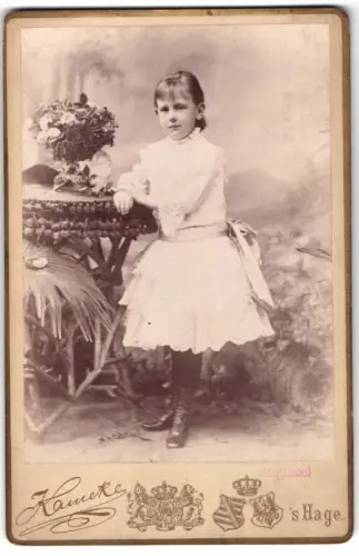 Fotografie Kameke, `s Gravenhage, Javastraat 20, Prinzessin Wilhelmina von Oranien-Nassau, Königin der Niederlande