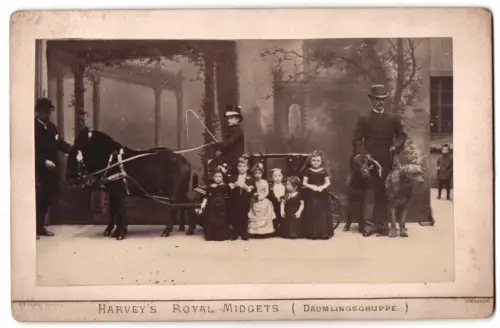 Fotografie G. D. Plate, Dresden, Harvey`s Royal Midgets (Däumlingsgruppe) Kleinwüchsige mit Kutsche, 1887