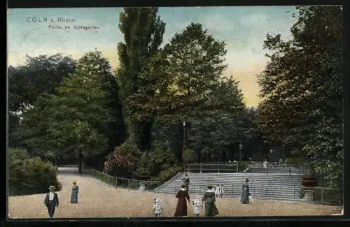 AK Köln-Neustadt, Volksgarten-Partie mit Treppe
