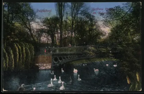 AK Düsseldorf, Goldene Brücke im Hofgarten