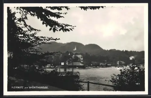 AK Reifnitz am Wörthersee, Uferpartie mit Bäumen