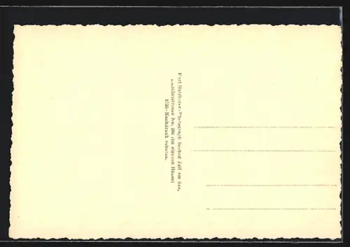 AK Zell am See, Ortsansicht aus der Vogelschau gegen die Tauern