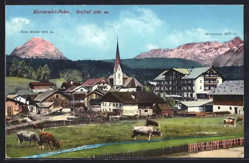 AK Seefeld, Ortsansicht mit Hohe Munde und Wetterstein, Kühe