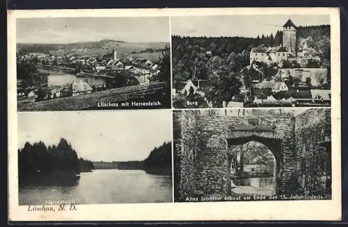 AK Litschau /N.-D., Teilansicht mit Herrenteich, Burg, Altes Stadttor erbaut um Ende des 15. Jahrhunderts