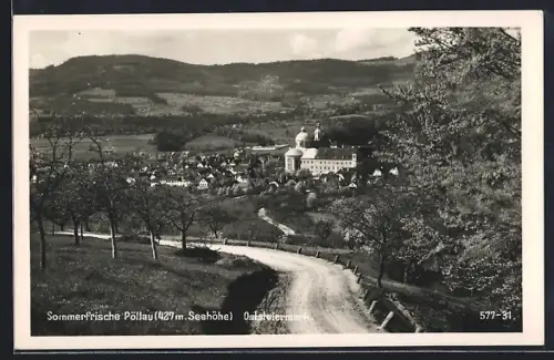 AK Pöllau /Oststeiermark, Teilansicht mit Landstrasse