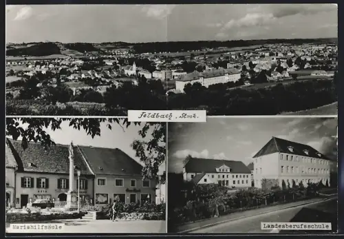 AK Feldbach /Stmk., Teilansicht, Landesberufsschule, Mariahilfsäule