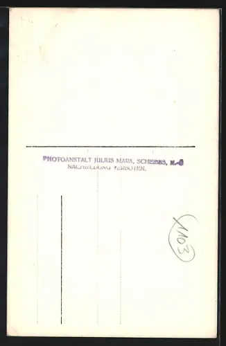 AK Lunz am See, Ortsansicht mit Ötschen