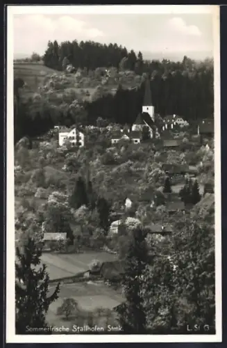 AK Stallhofen, Totalansicht mit Blick zur Kirche