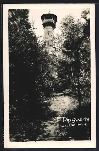AK Hartberg, Partie der Ringwarte