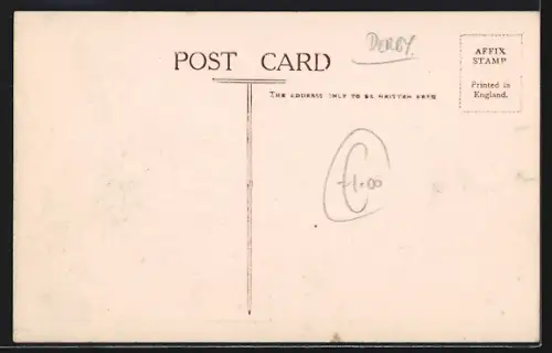 AK Swanwick, The Hayes from the Hostel