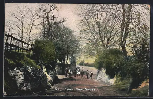 AK Woodhouse, Carr Lane