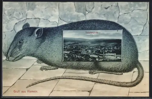 Grusskarten-AK Hameln, Totalansicht im Ratten-Passepartout