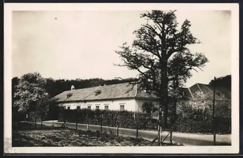 AK Wien, Blick auf das Gasthaus Schottenhof v. A. Schindelar