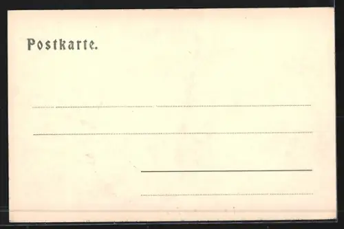 AK Bregenz a. Bodensee, Gasthof zum Heidelberger Fass und Strassenpartie