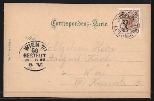 Lithographie Puchberg am Schneeberg, Schneeberghotel zum Baumgartner, Destillerie Kronich