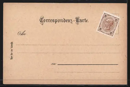 Lithographie Gloggnitz, Hotel Zum schwarzen Adler, Totalansicht, Schloss Wartenstein