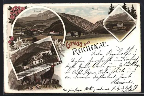 Lithographie Reichenau, Curhaus, Villa Wartholz, Ortsansicht
