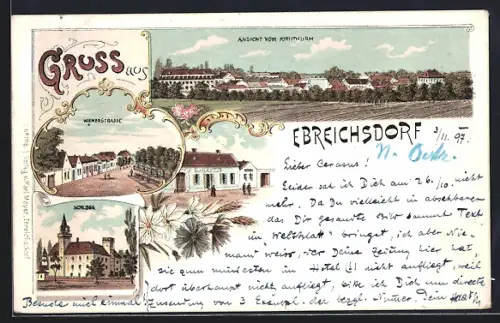Lithographie Ebreichsdorf, Wienerstrasse, Schloss, Ansicht vom Kirhthurm
