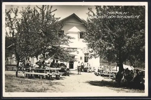 AK Wien, Sofienalpe, Gasthaus Zur Most-Alm von Johann Schönhanns