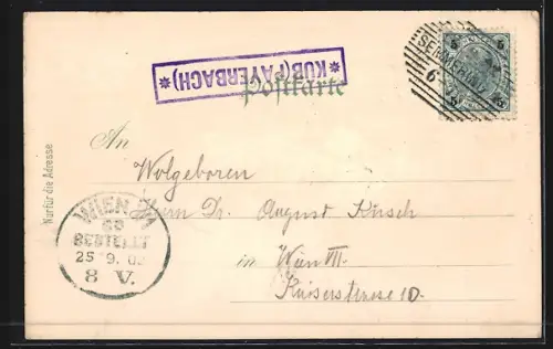 Lithographie Küb /N. Ö., Maders Restauration Wegererhof, Marien-Villa, Leopoldinen-Villa, Ortsansicht