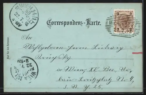 Mondschein-Lithographie Micheldorf im Kremsthal, C. Baumgartners Conditorei u. Canditenfabrik, Gradenteich, Ortsansicht