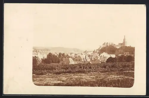 Foto-AK Weida / Thür., Blick nach dem Ort mit Schloss