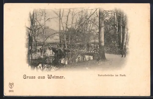 AK Weimar / Thüringen, Naturbrücke im Park