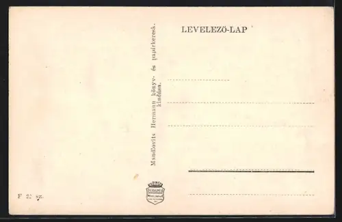 AK Huszt, Látkép, Gimnázium, Orsz. Társ. bizt. Int.