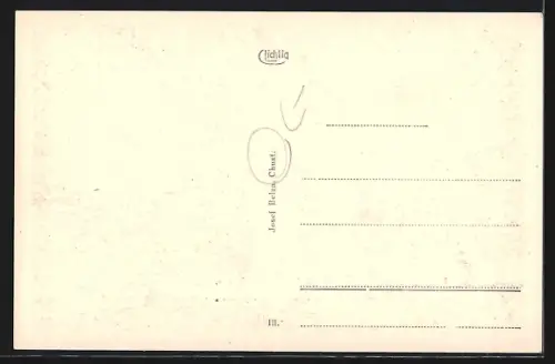 AK Chust, Okoli Chustu