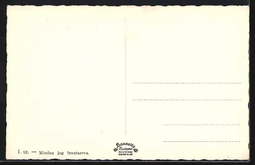 AK Unguár, Strassenpartie mit Geschäften