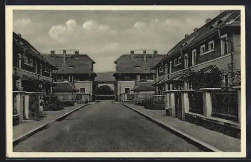 AK Chust, Kolonie st. zamestnancu