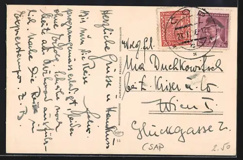 AK Csap, Strassenpartie mit Hotel Lustic