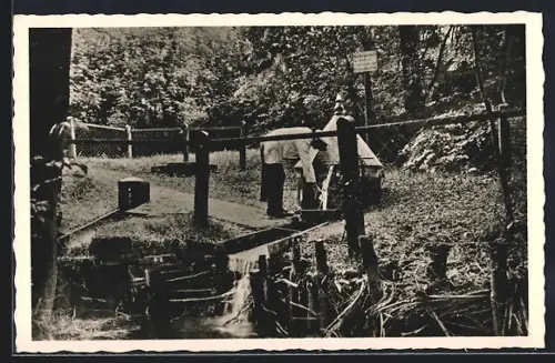 AK Bad Randringhausen /Bünde, Stahl-, Schwefel- u. Moorbad W. Ernstmeier, An der Quelle