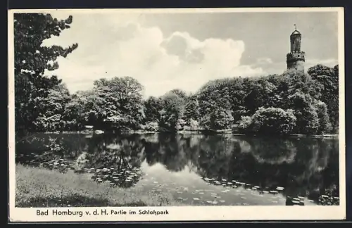 AK Bad Homburg v. d. H., Partie im Schlosspark