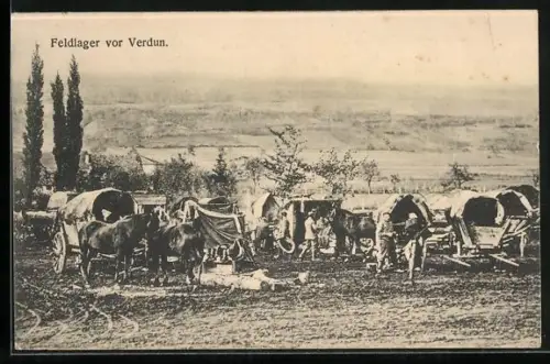 AK Verdun, Soldaten mit Pferden im Feldlager, 1. Weltkrieg