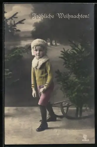 AK Junge mit Tannenbaum auf dem Schlitten, Weihnachtsgruss