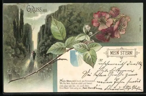 Glitzer-Perl-AK Blühende Wildrose mit Perlen, Liebespaar beim Spaziergang