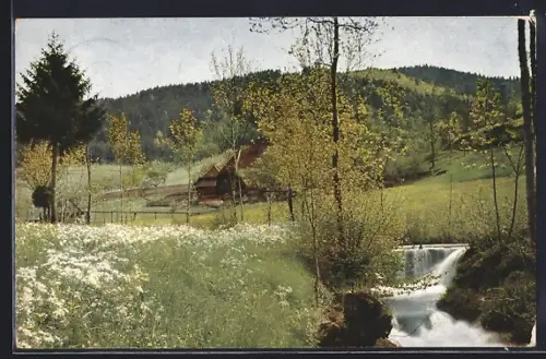 AK Dunningen /Württ., Ortspartie mit Bach