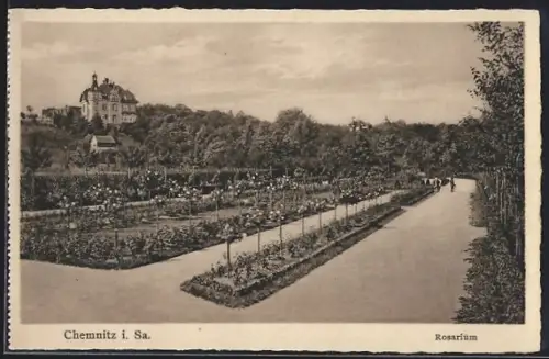 AK Chemnitz i. Sa., Rosarium