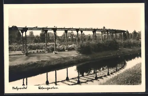 AK Salzwedel, Rosengarten