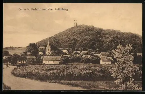 AK Collm b. Oschatz, Teilansicht mit dem Collmberg