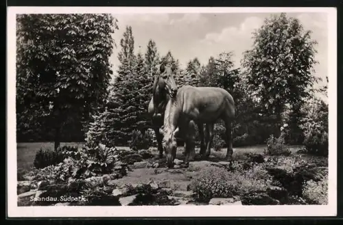 AK Berlin-Spandau, Plastik im Südpark