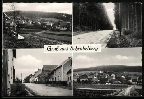 AK Schenkelberg /Selters, Strassenpartie, Ortsansichten, Waldpartie
