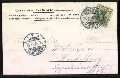 Lithographie Strassburg /Elsass, Münster, Universität mit Brücke, Altes Haus