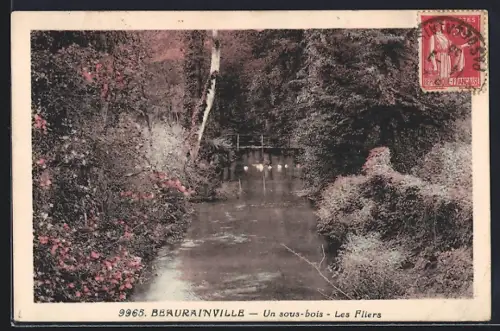 AK Beaurainville, Un sous-bois, Les Fliers