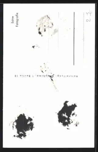 AK Karl Schönböck, Portrait, Autograph