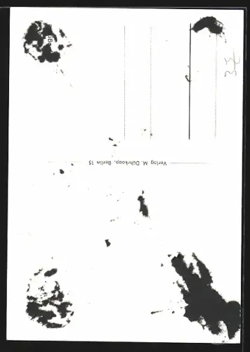 AK Ernst-Fritz Fürbringer, Portrait, Autograph