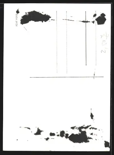 AK Edith Schollwer lächelt, Autograph