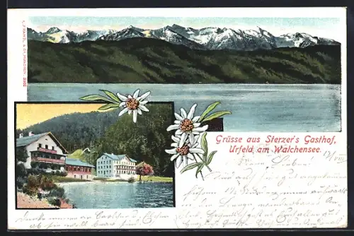 AK Urfeld am Walchensee, Sterzer`s Gasthof, Seepartie mit Gipfelpanorama